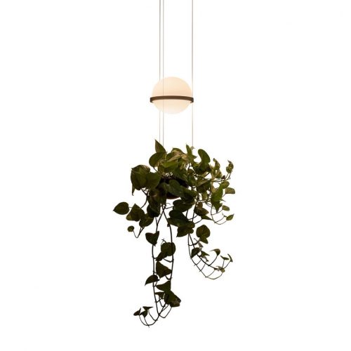 Vibia Palma 3724 Suspension lamp - Image 2