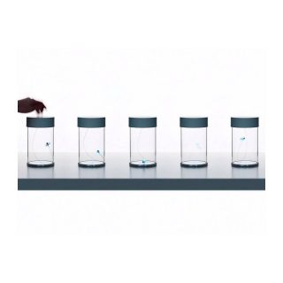 Davide Groppi Profumo D'estate Lampada da tavolo - immagine 4
