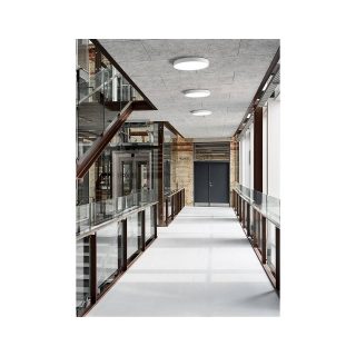 Louis Poulsen LP Slim Round Montato su Superficie - immagine 5