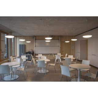 Louis Poulsen Silverback Suspension lamp - Image 3