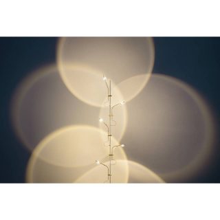 Catellani&Smith Wa Wa W Wall lamp - Image 3